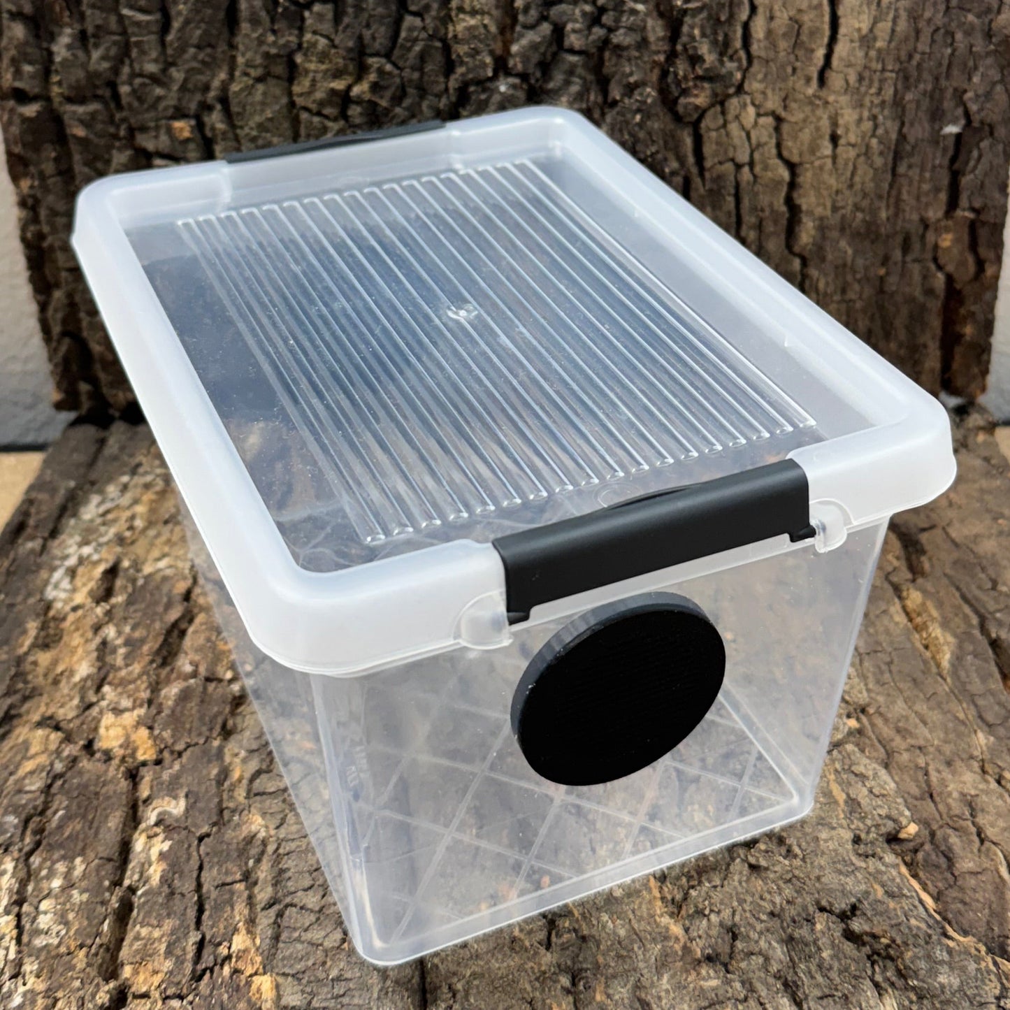 Zuchtbox mit Belüftung