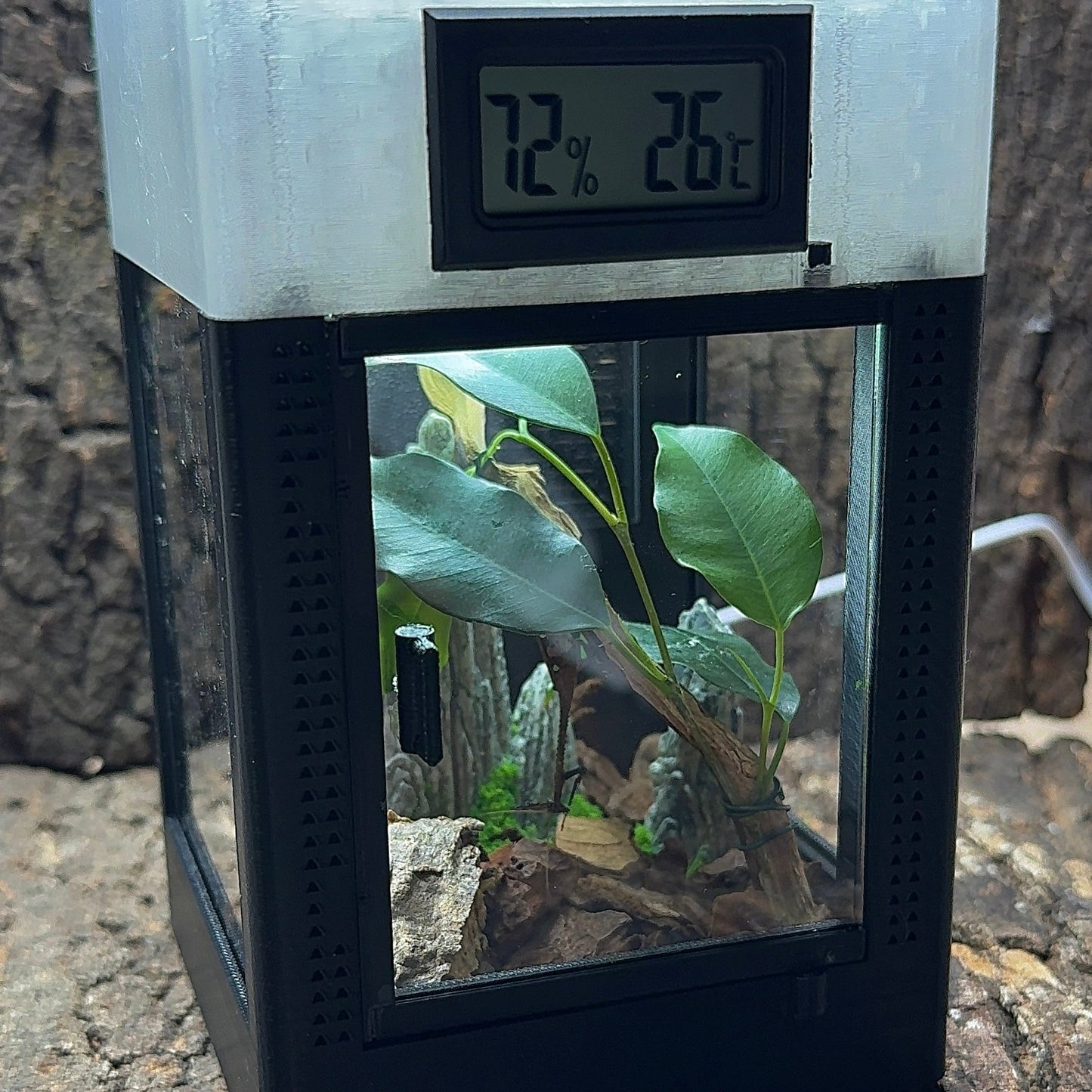Angebot des Monats: 3 Terrarien im Sparpaket