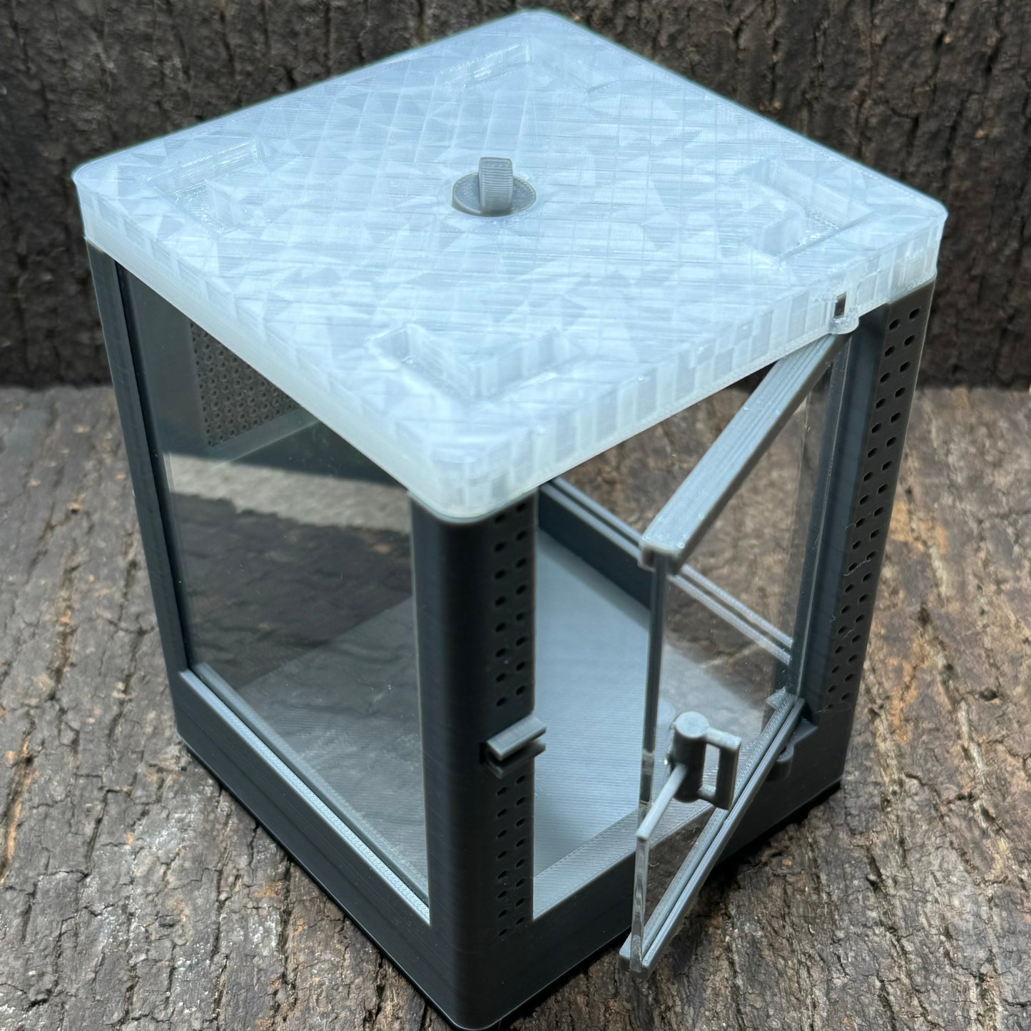Mikro Terrarium