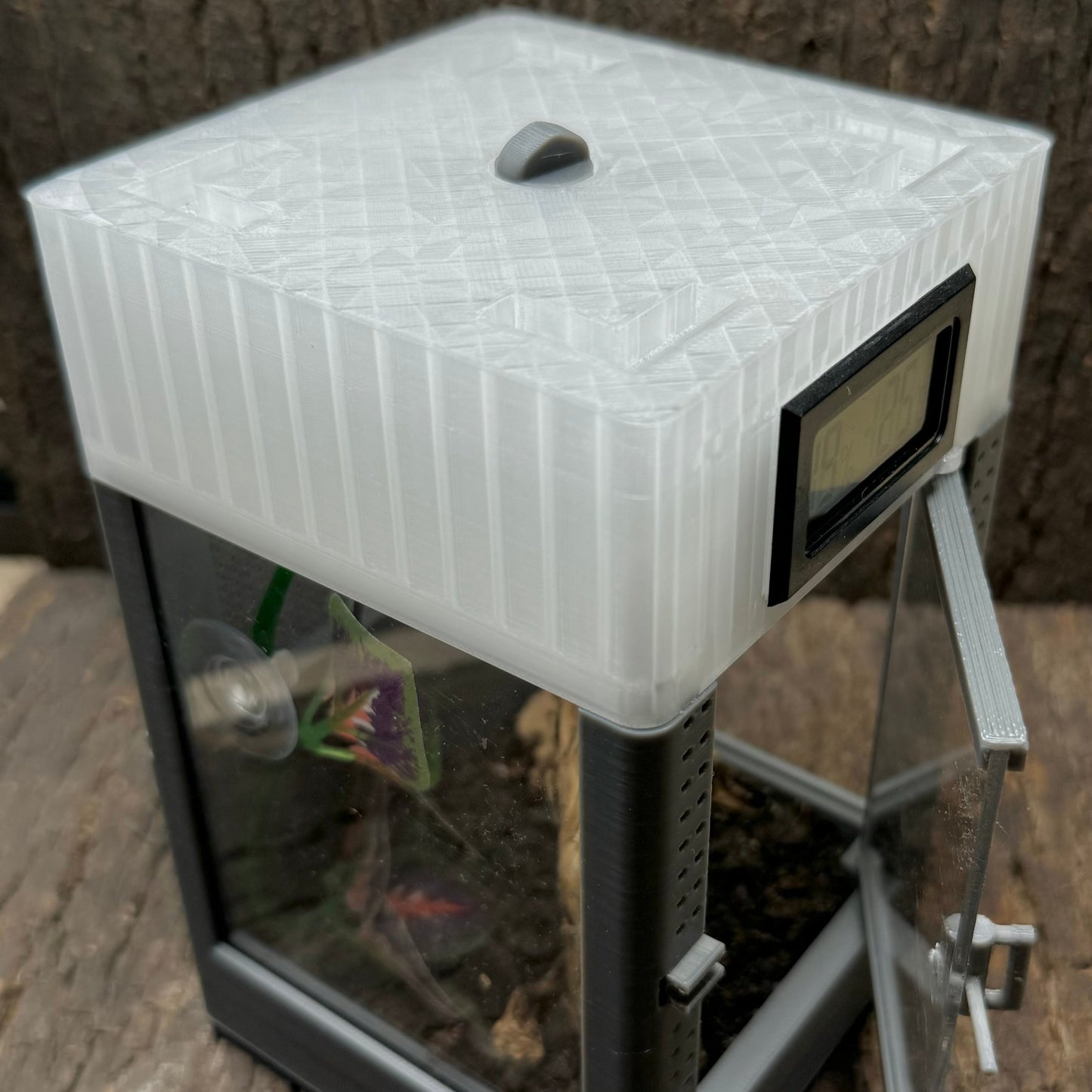Mikro Terrarium