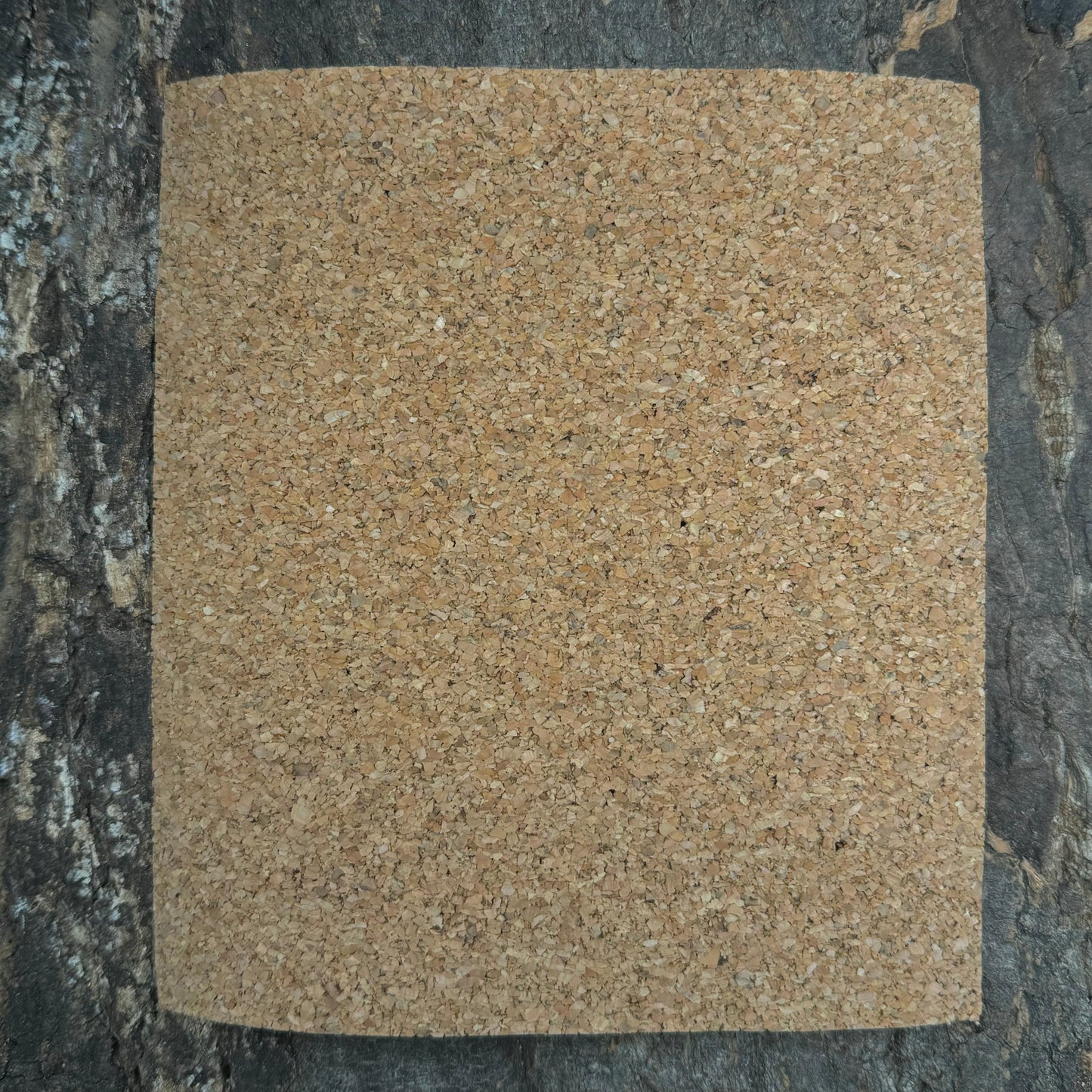 Korkplatten Rückwand