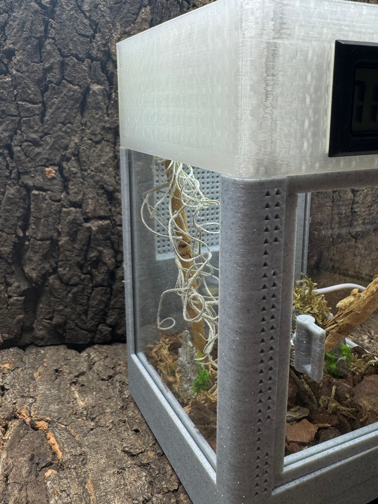 Mikro-Terrarium – Limited Edition im hochwertigen Marmor-Stil