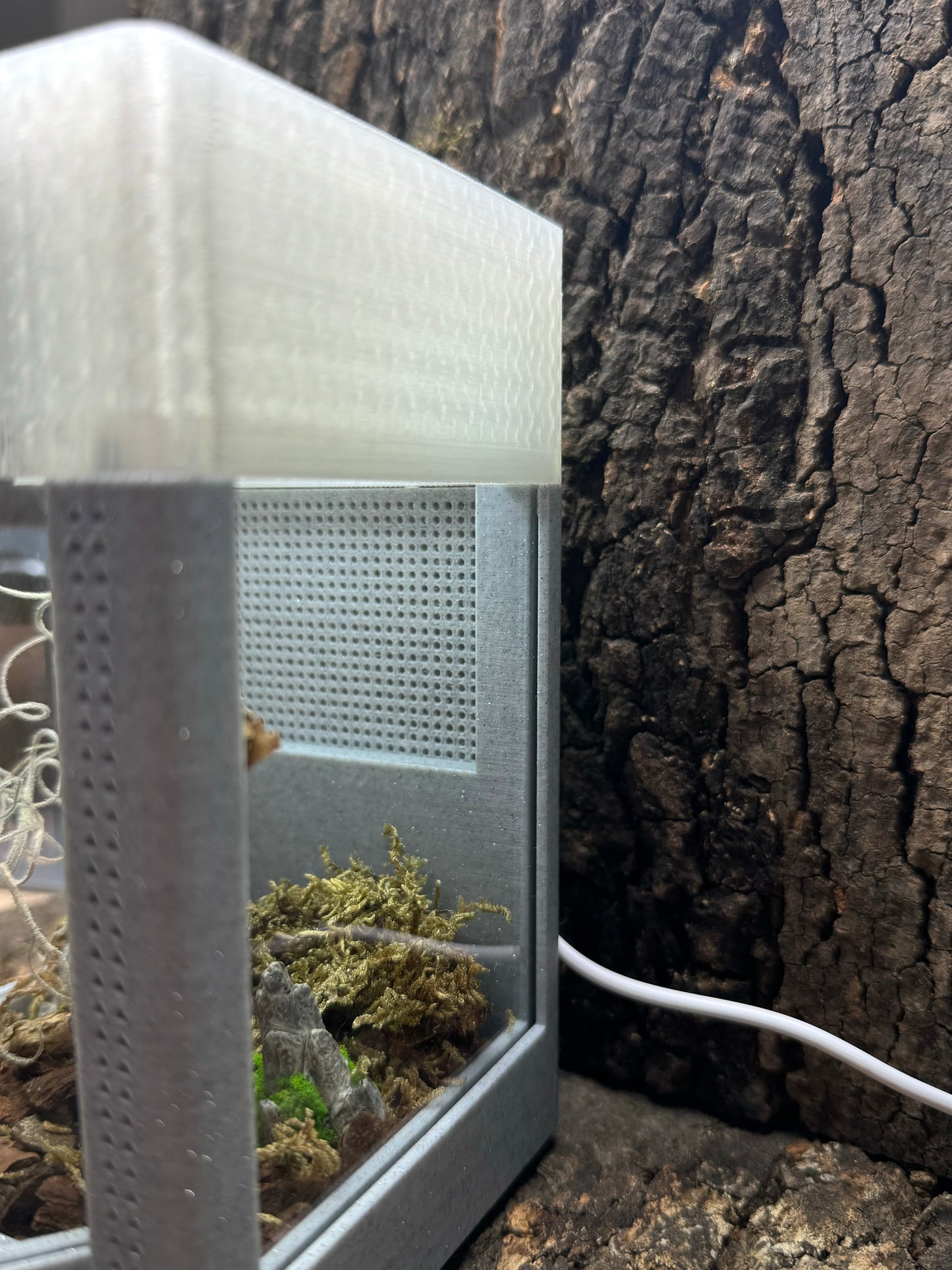 Mikro-Terrarium – Limited Edition im hochwertigen Marmor-Stil