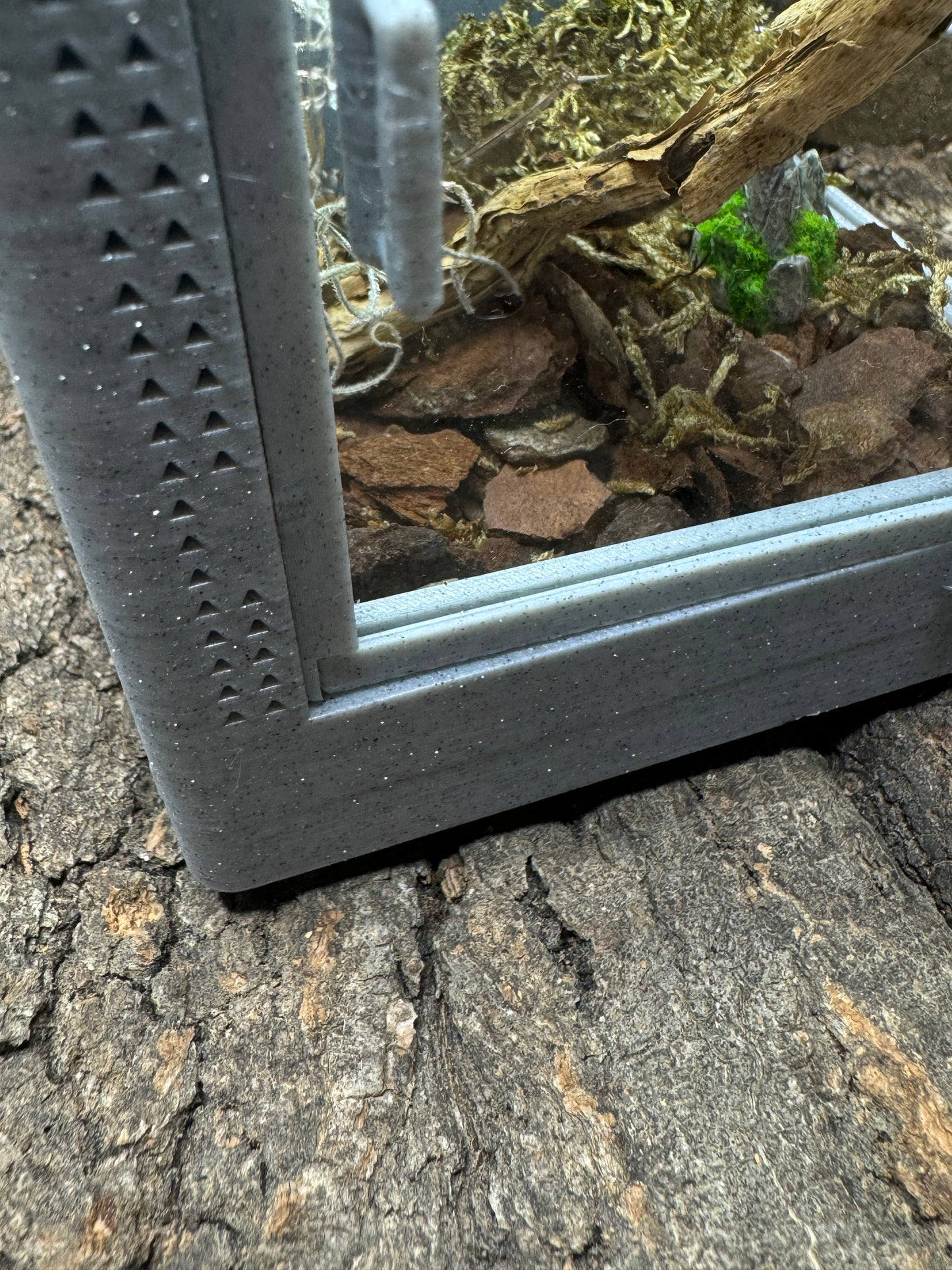 Mikro-Terrarium – Limited Edition im hochwertigen Marmor-Stil