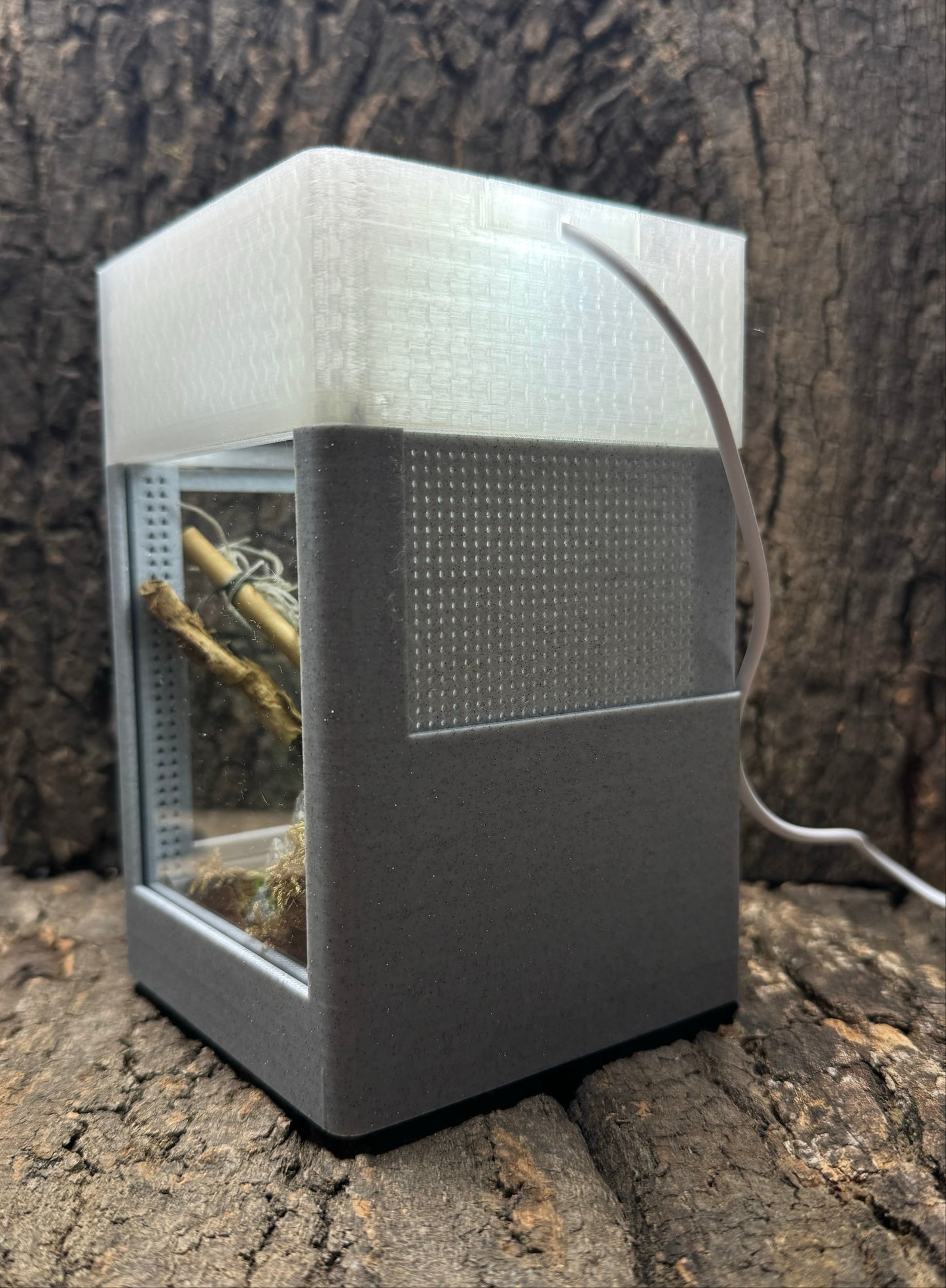 Mikro-Terrarium – Limited Edition im hochwertigen Marmor-Stil