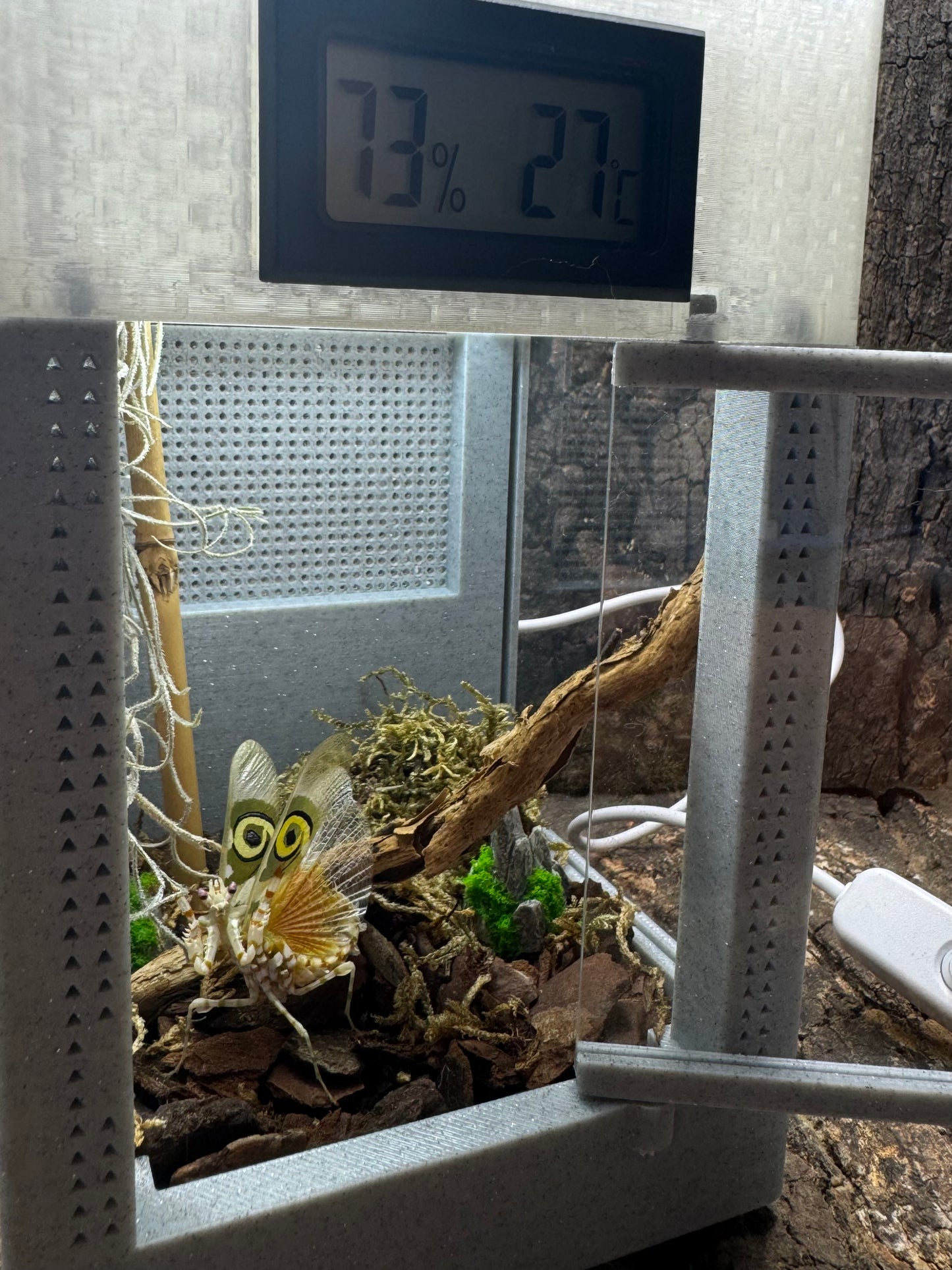 Mikro-Terrarium – Limited Edition im hochwertigen Marmor-Stil