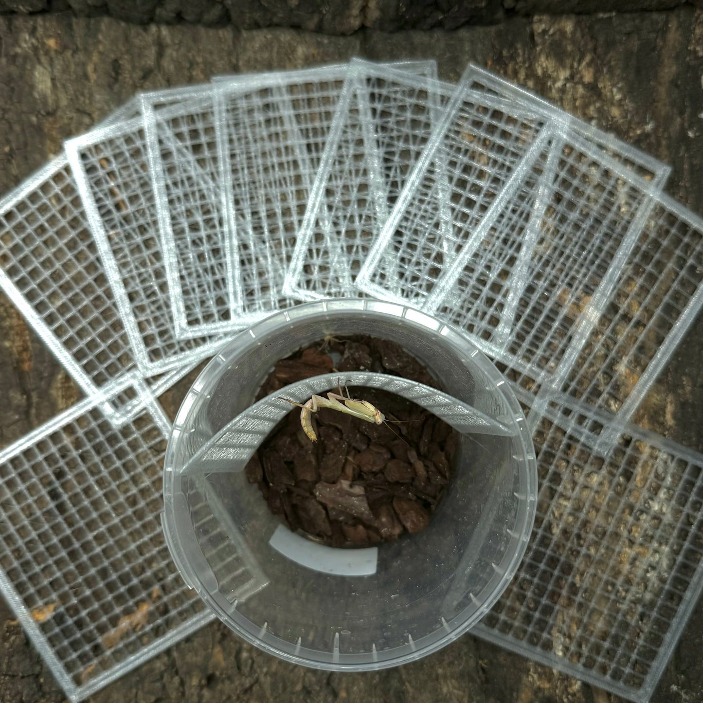 Gitter für Versand- & Aufzuchtdosen