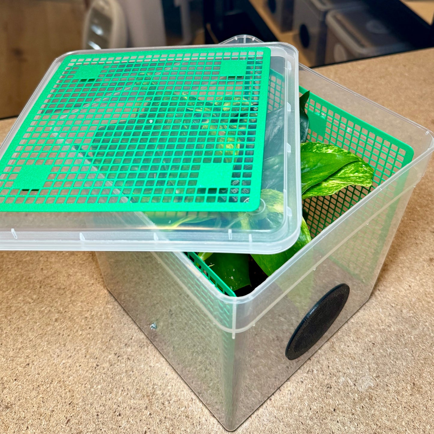 FlexTerra – Individuelle Kunststoff-Terrarien