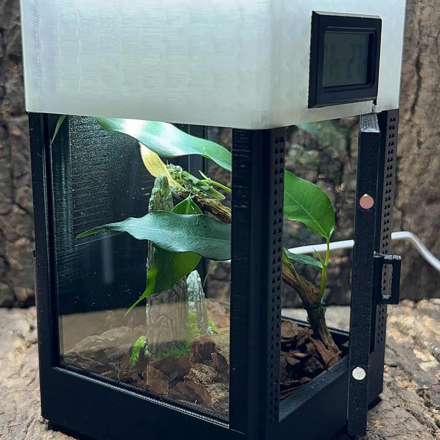 Mikro Terrarium