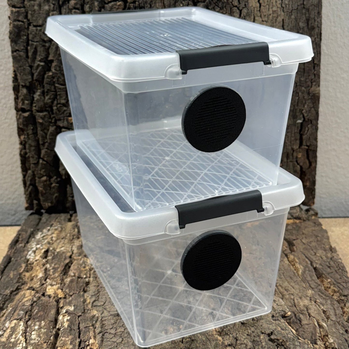 Zuchtbox mit Belüftung