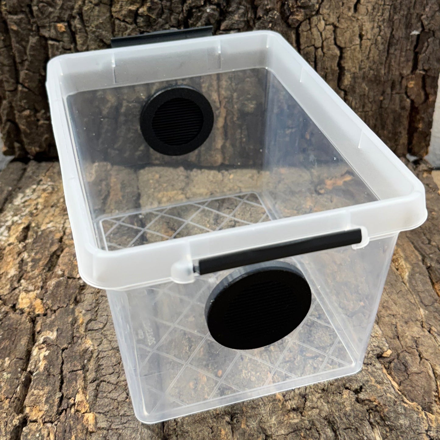 Zuchtbox mit Belüftung