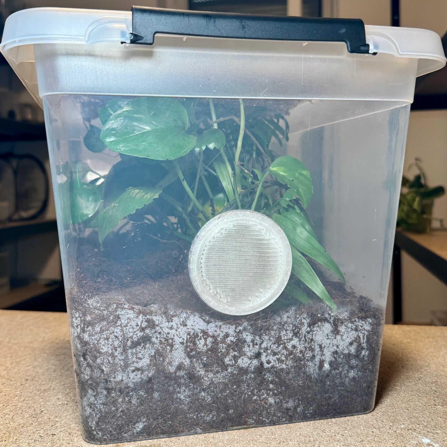 FlexTerra – Individuelle Kunststoff-Terrarien