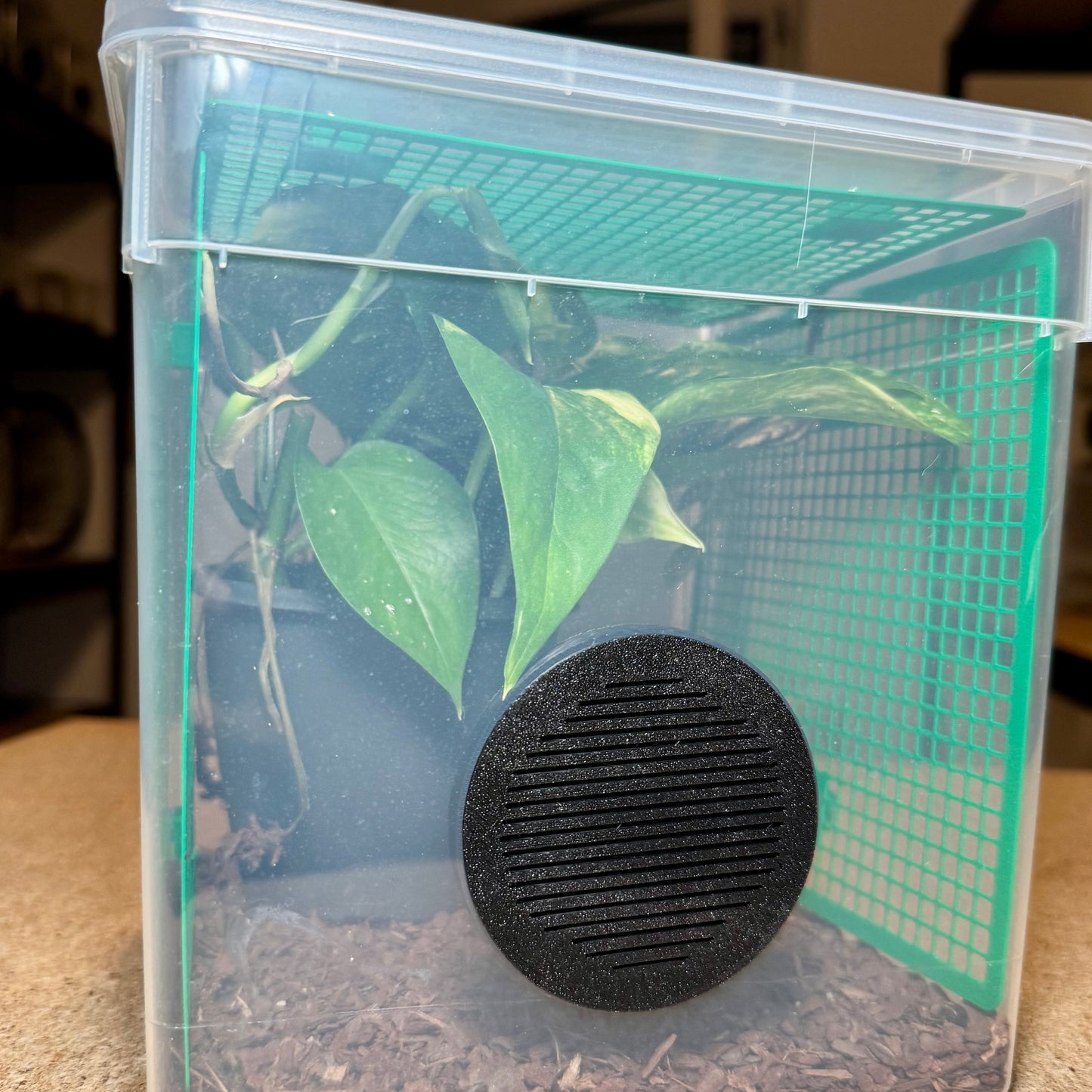 FlexTerra – Individuelle Kunststoff-Terrarien