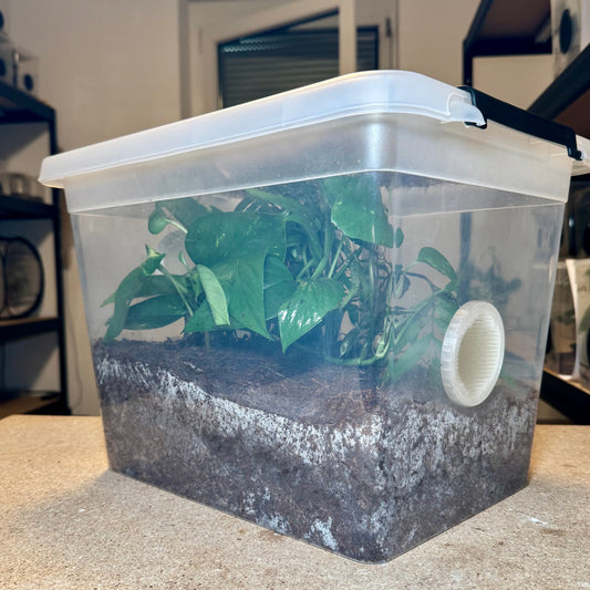 FlexTerra – Individuelle Kunststoff-Terrarien