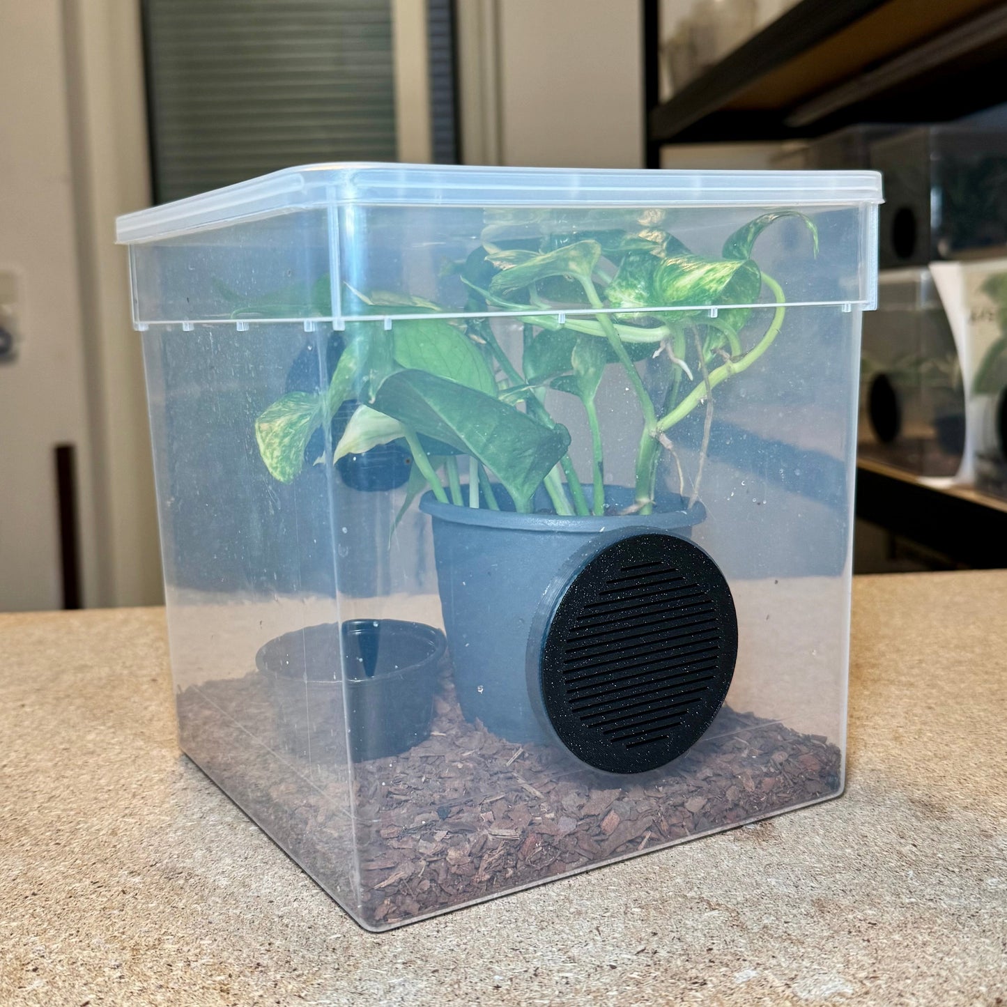 FlexTerra – Individuelle Kunststoff-Terrarien