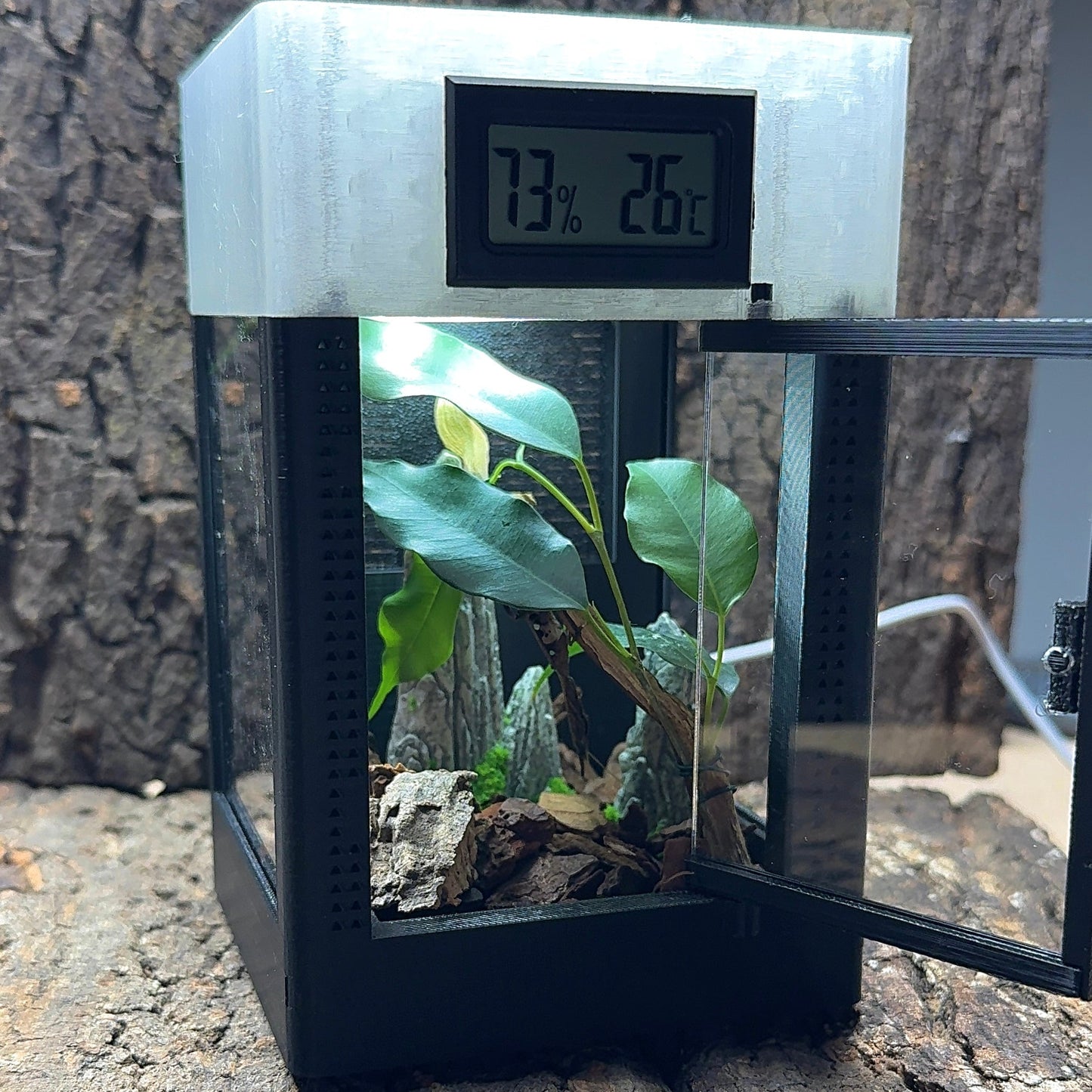 Mikro Terrarium