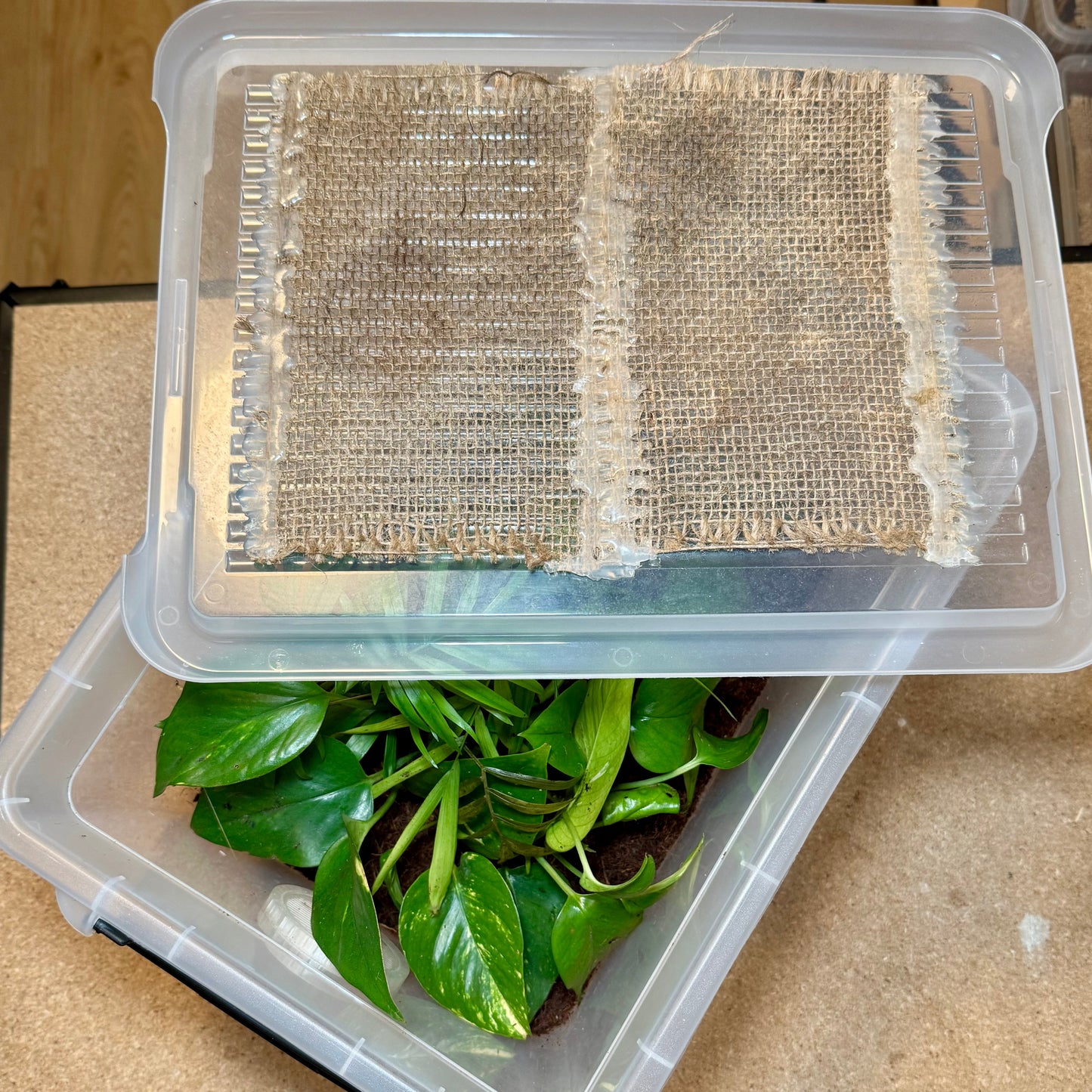 FlexTerra – Individuelle Kunststoff-Terrarien