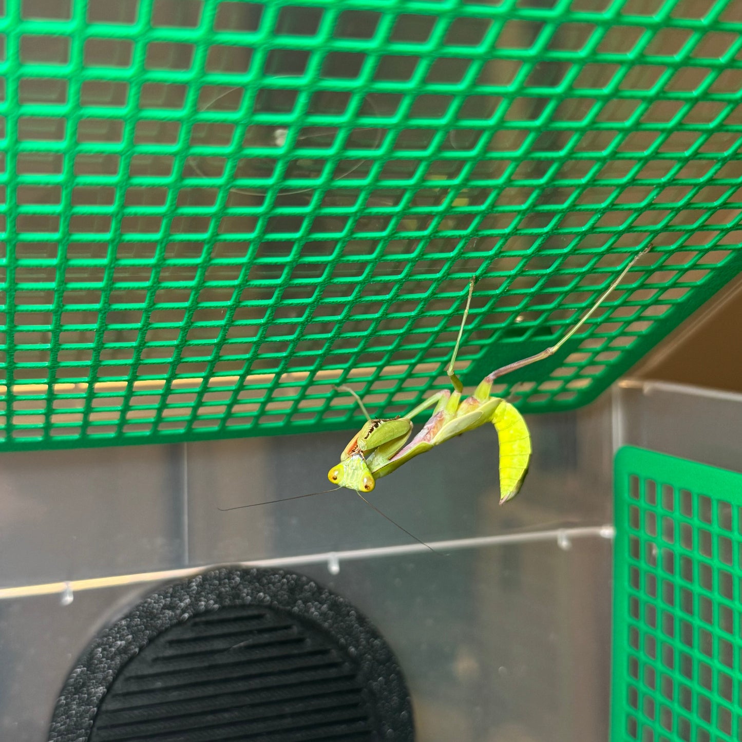 FlexTerra – Individuelle Kunststoff-Terrarien