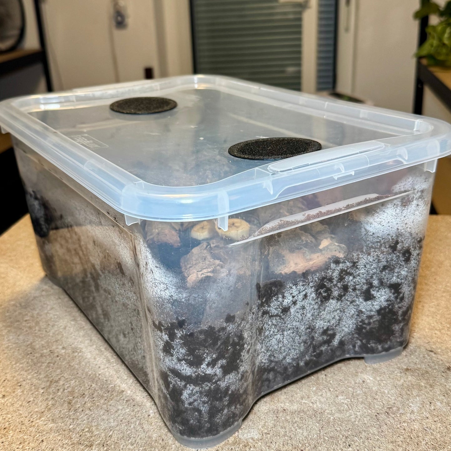 FlexTerra – Individuelle Kunststoff-Terrarien