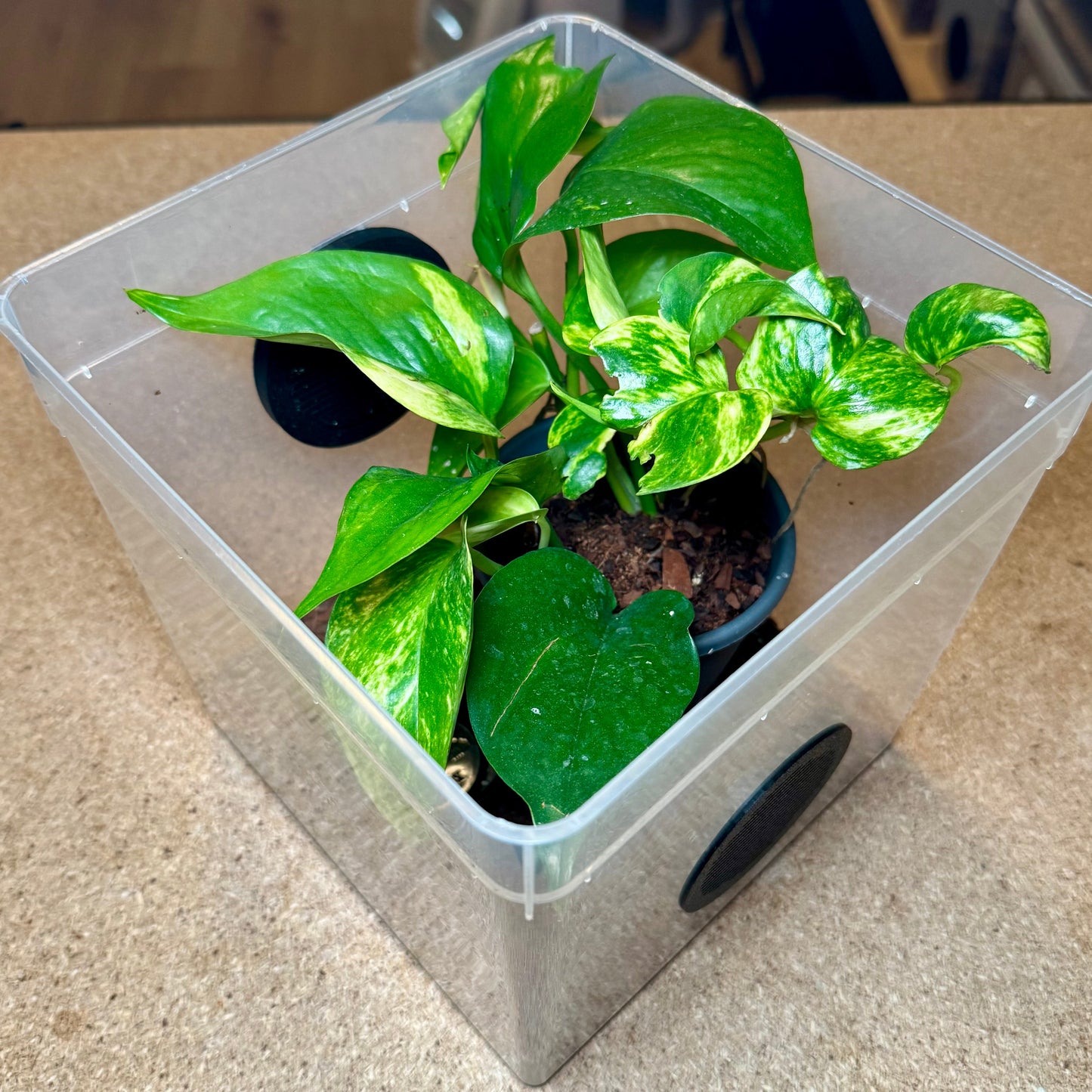 FlexTerra – Individuelle Kunststoff-Terrarien