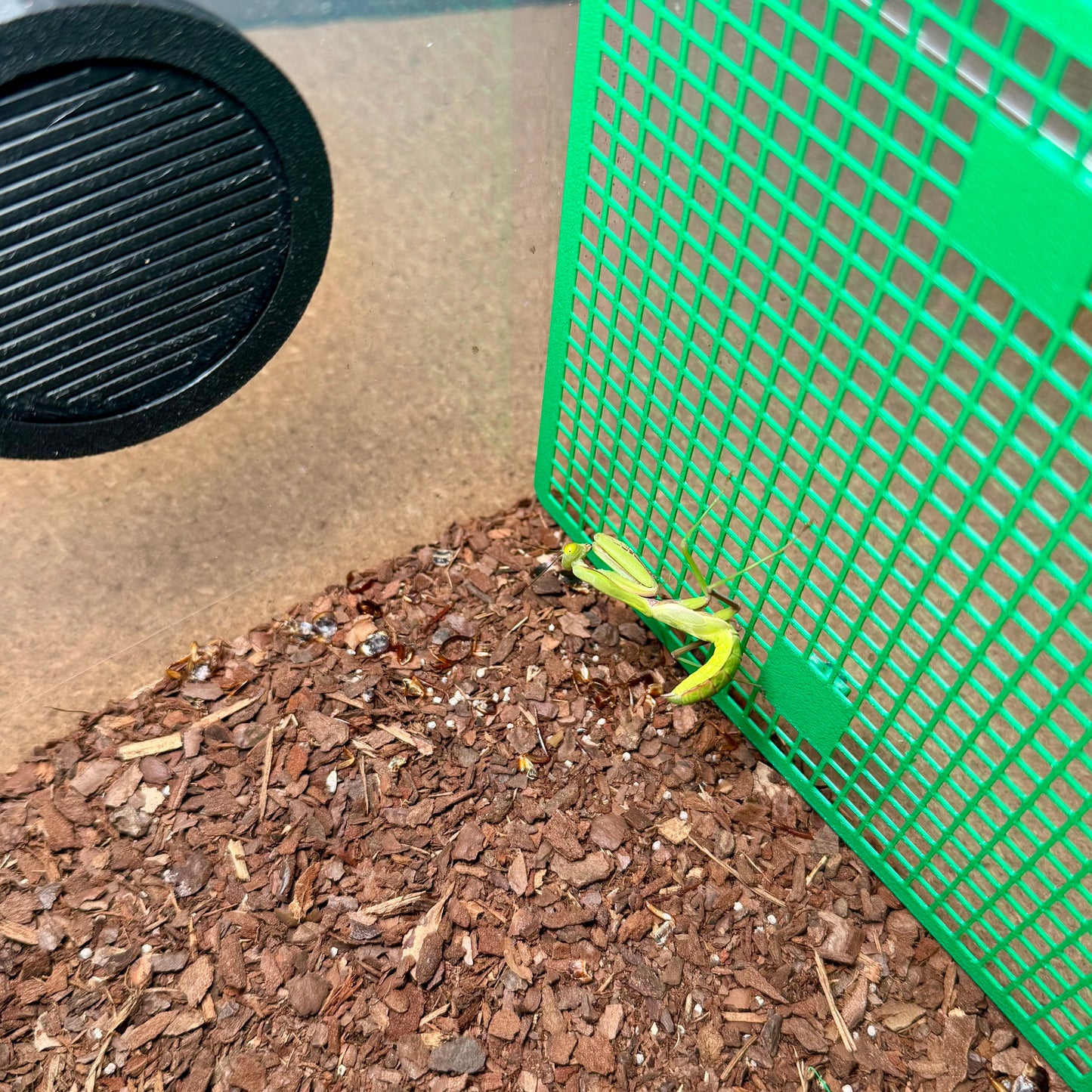 FlexTerra – Individuelle Kunststoff-Terrarien