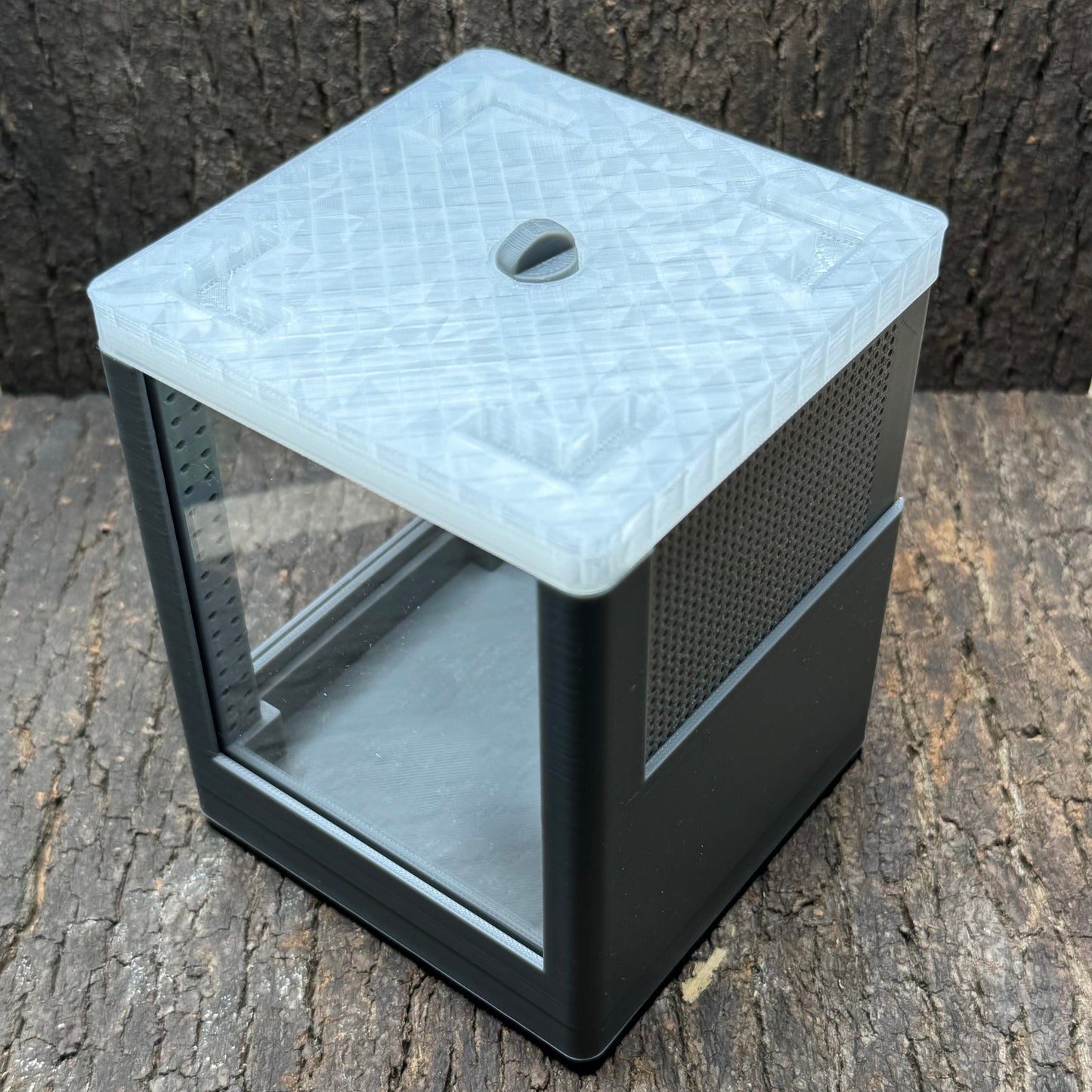 Mikro Terrarium
