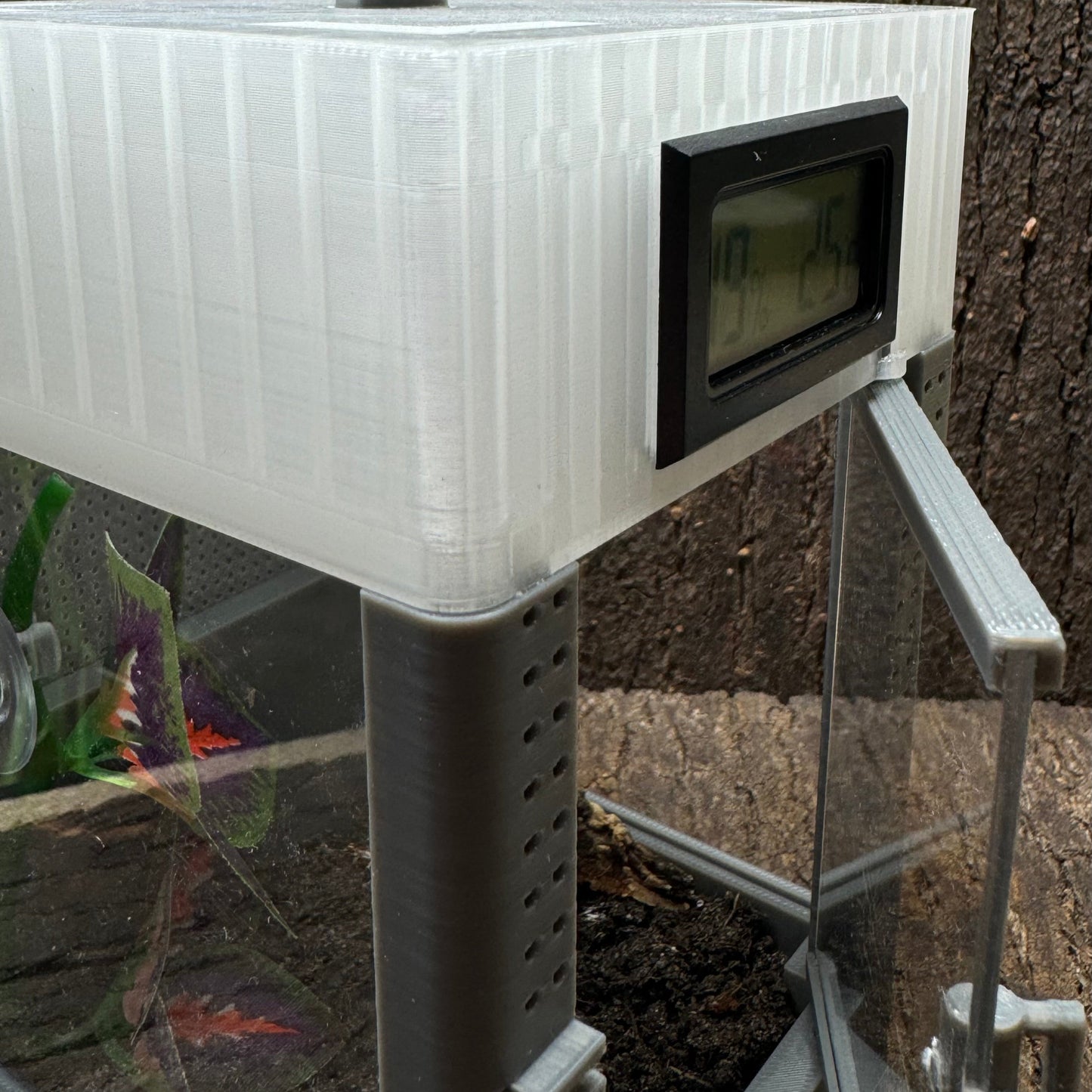 Mikro Terrarium