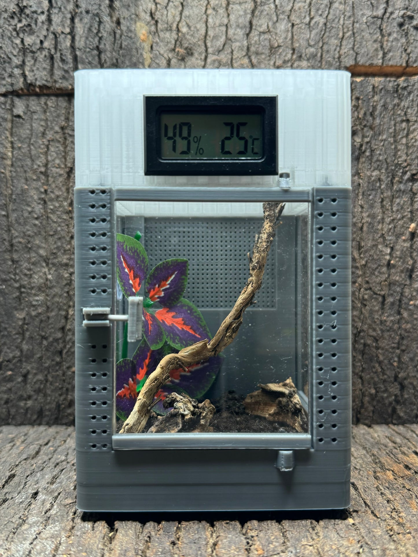 Mikro Terrarium