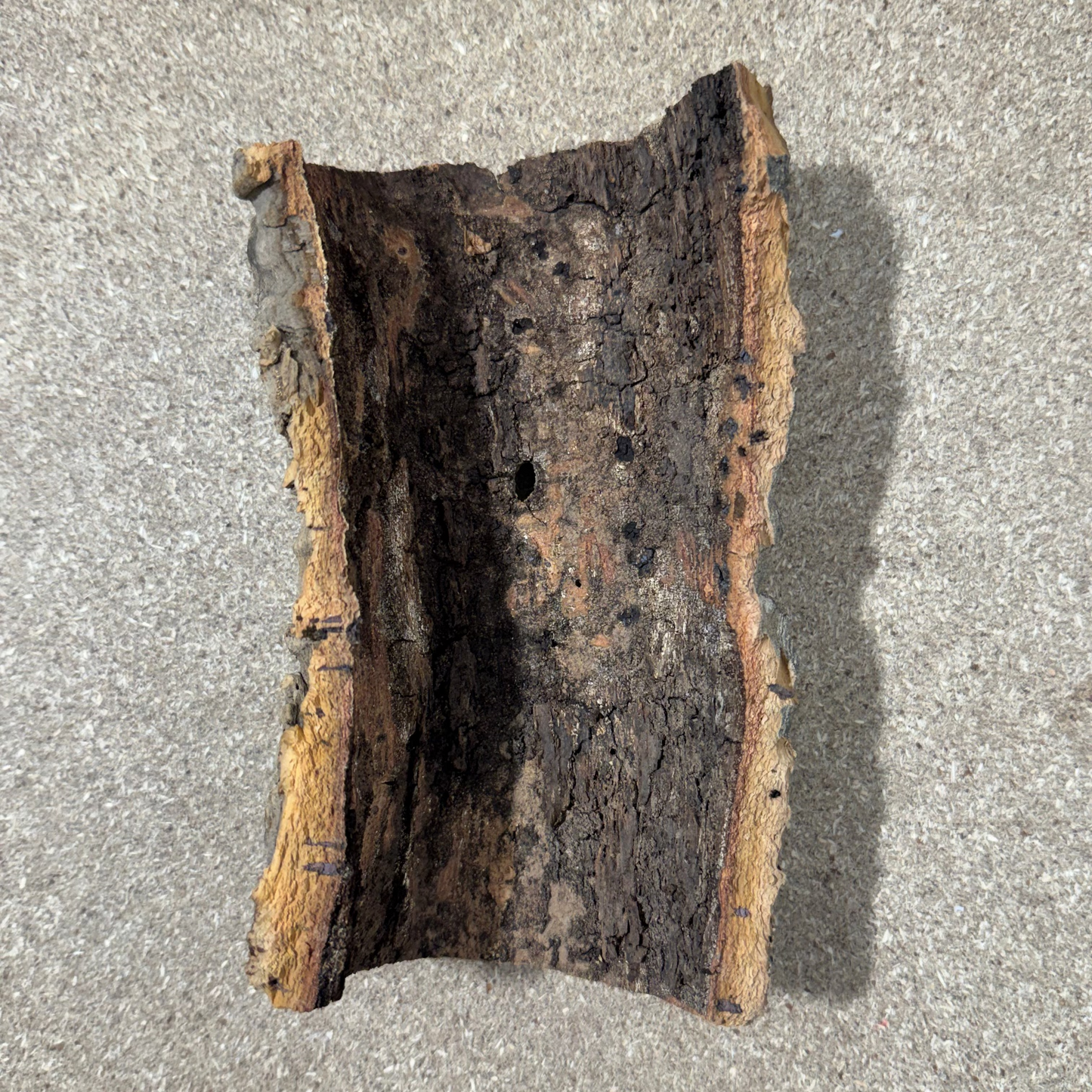 Kork-Halbröhre 10x20cm