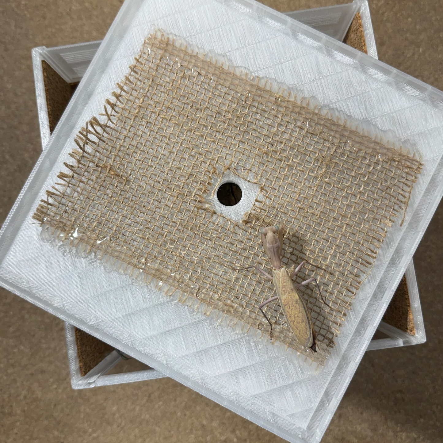 TerraCube20