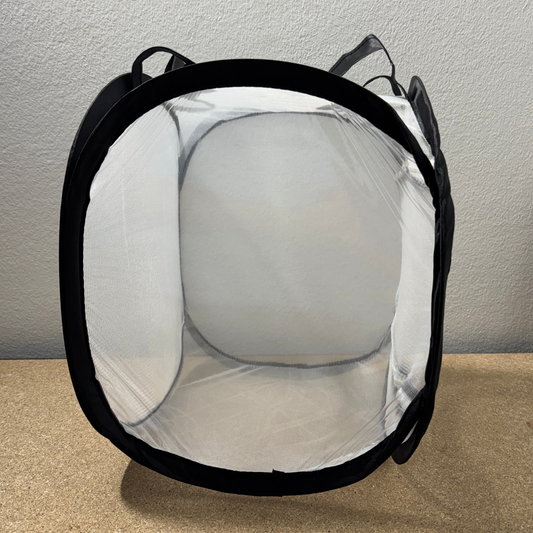 Netzterrarium / Schmetterlingsnetz 30×30 cm