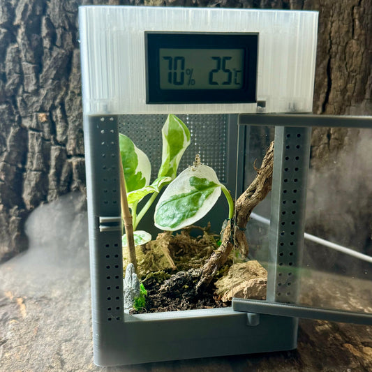Angebot des Monats: 3 Terrarien im Sparpaket
